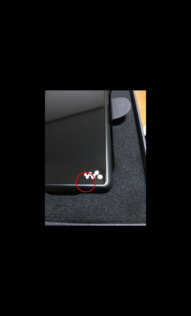 画面内部にホコリ？インク？』 SONY NW-WM1A [128GB] のクチコミ