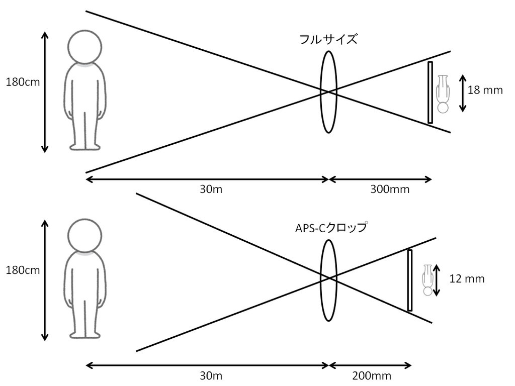 Aps Cレンズ使用時のクロップ機能使用時の高感度耐性について クチコミ掲示板 価格 Com