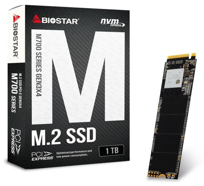 BIOSTAR M700 M.2 SSD 1TB