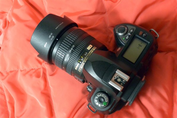 ニコン D70s レンズキット投稿画像・動画 - 価格.com