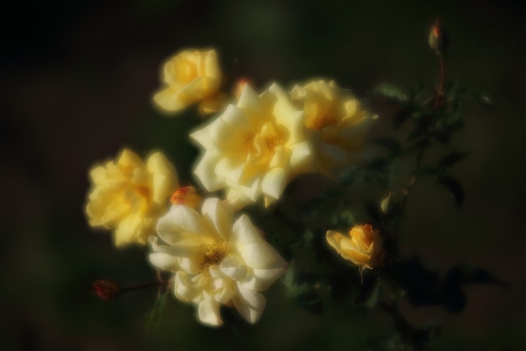 f2 とf2.8の差異』 CANON EF135mm F2L USM のクチコミ掲示板 - 価格.com