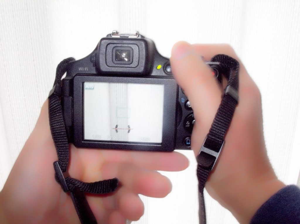 軽すぎてぶれてしまう・・・』 CANON PowerShot SX70 HS の 軽すぎてぶれてしまう・・・』 CANON PowerShot SX70 HS の