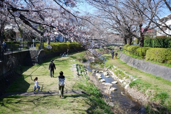 ルナコンボール 写真作例編 其の三十六 クチコミ掲示板 価格 Com