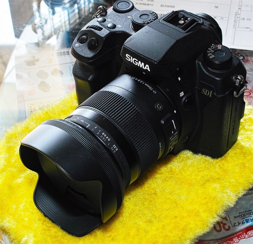 Foveonの恐ろしい解像度！！』 シグマ SIGMA DP1 Merrill のクチコミ