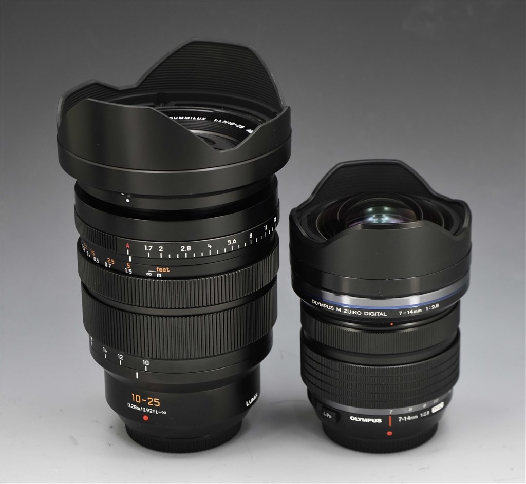 オリンパス7-14mmより一回り小さい』 パナソニック LEICA DG VARIO