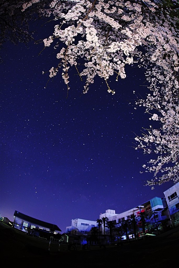 人気のソニーeマウントには無い 対角線魚眼レンズ シグマ 15mm F2 8 Ex Dg Diagonal Fisheye ソニー用 のクチコミ掲示板 価格 Com