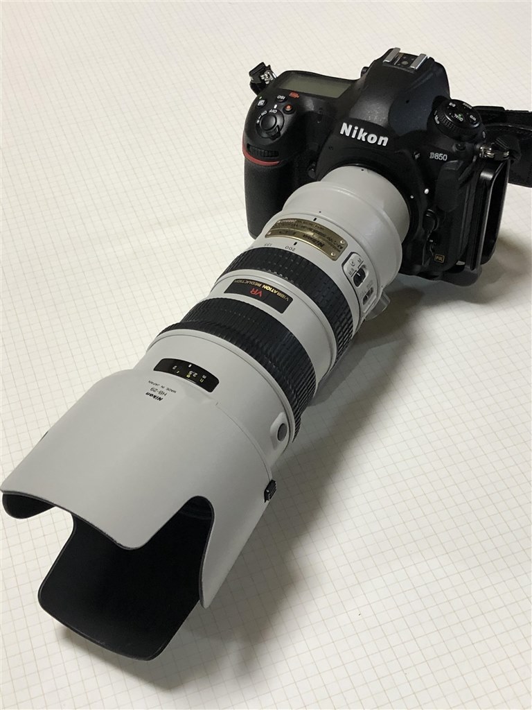 ライトグレーの復活』 ニコン AF-S VR Zoom-Nikkor ED 70-200mm F2.8G