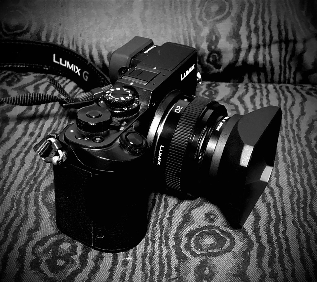 フード』 パナソニック LUMIX DMC-GX8 ボディ のクチコミ掲示板 - 価格.com