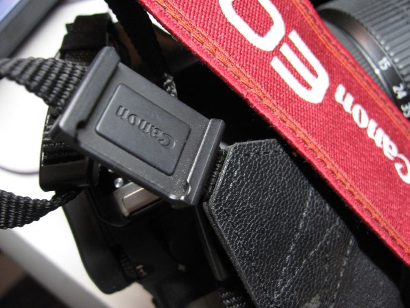 CANON PowerShot A530で撮影された写真 - 価格.com