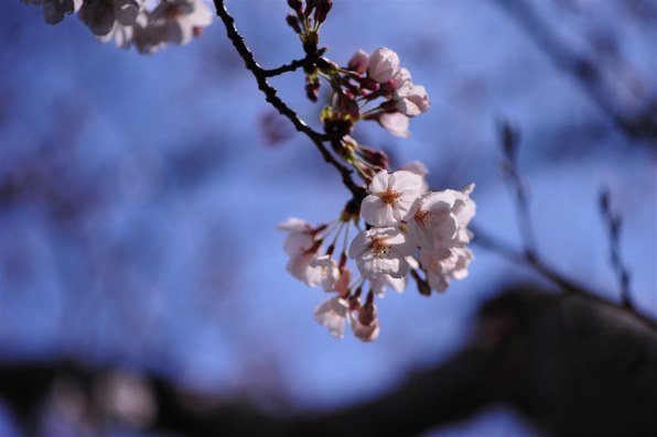 ダブル／ミストブルー Nikon Ai AF-S ズームニッコール ED 28-70mm F2