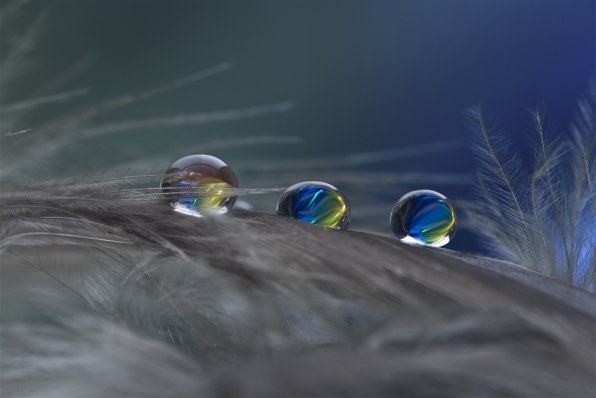 ★ キャノン シグマ 105mm F2.8 EX DG MACRO OS HSM Amazon.co.jp: シグマ 105mm F2.8 EX DG MACRO キヤノン用 : 家電＆カメラ