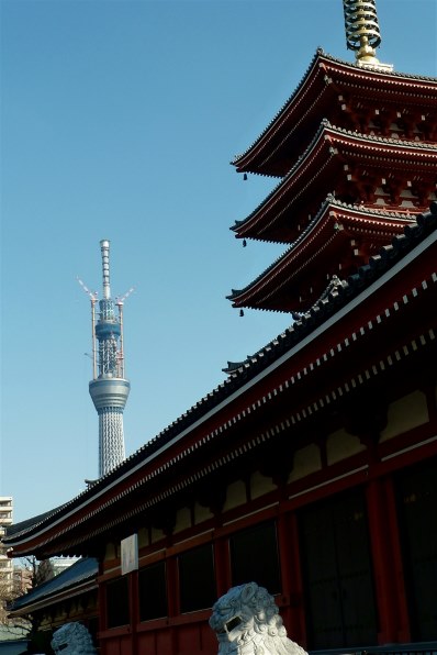 パナソニック LUMIX DMC-TZ10投稿画像・動画 - 価格.com