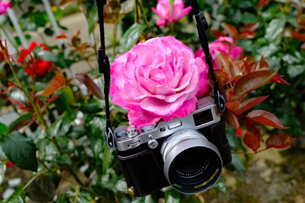 ついに手に入れました』 富士フイルム FUJIFILM X100F のクチコミ