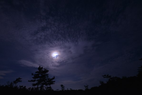 シグマ 12-24mm F4 DG HSM [ニコン用]のクチコミ - 価格.com