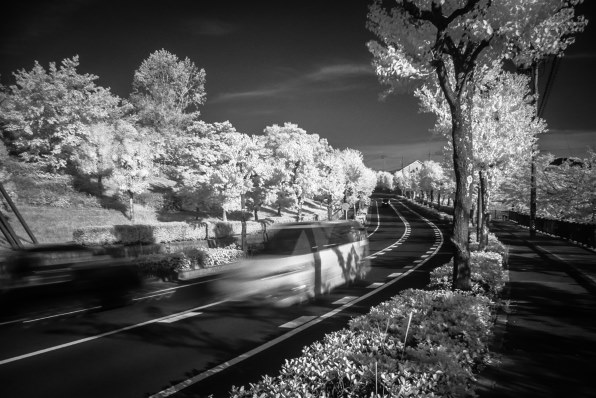 Panasonic LUMIX DMC-TZ3 デジカメCCD 作例 LUMIX DMC-TZ3で撮影された写真 | 写真検索 | GANREF