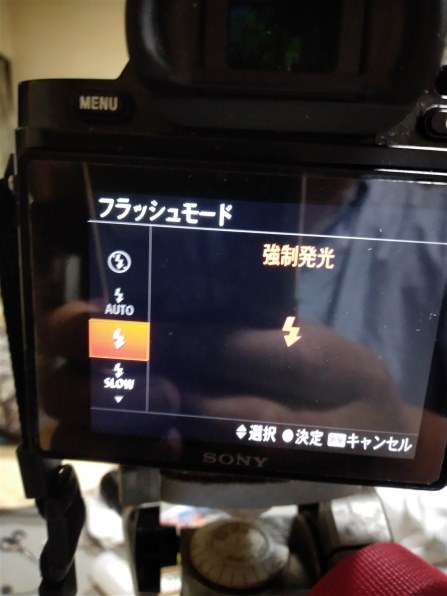 SONY - SONY α7iii ボディー・ストロボ、SD•バッテリー追加 α7IIIはモバイルバッテリーのUSB給電で十分運用できるという話