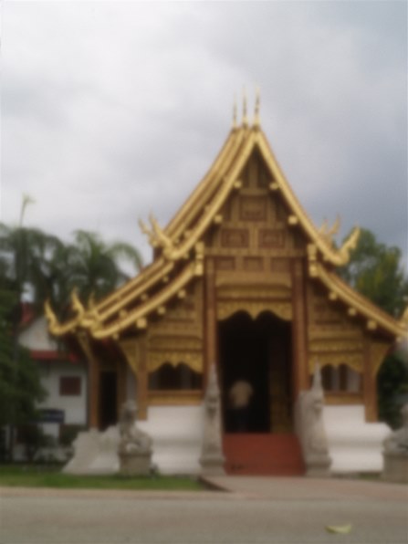 オリンパス E-500 バリューキットで撮影された写真 - 価格.com