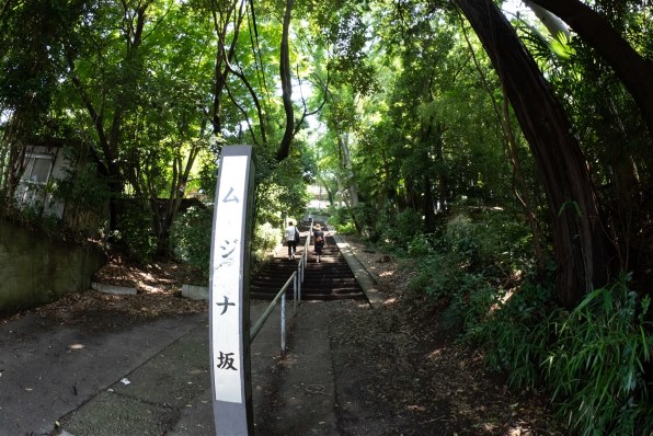 みんなで楽しむ写真クラブその４ クチコミ掲示板 価格 Com