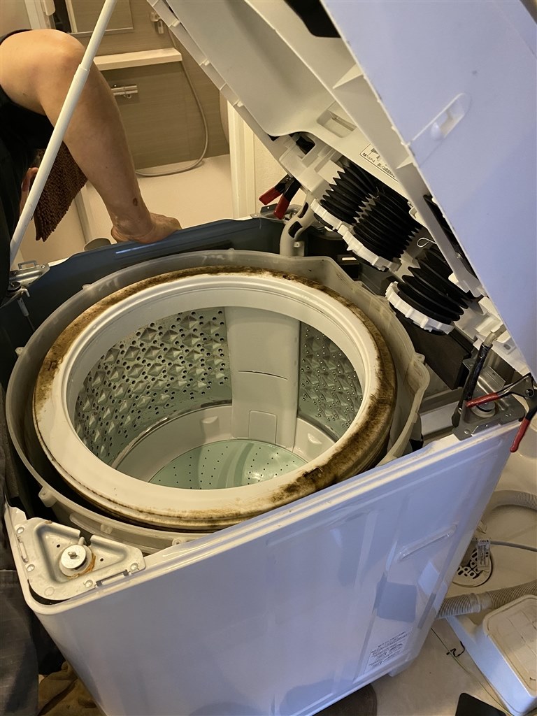 洗濯槽分解清掃実施(購入から4年半)』 東芝 AW-10SV3M のクチコミ 
