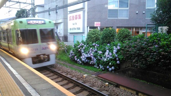 ASUS ZenFone Go ZB551KL-WH16 SIMフリー [ホワイト]で撮影された写真