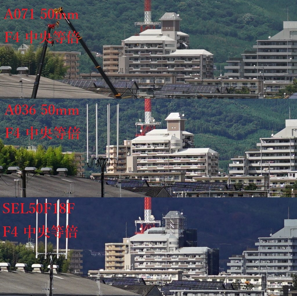 α1検証済｜Tamron 28-200mm F2.8 実写 家族旅行の失敗ゼロ α1