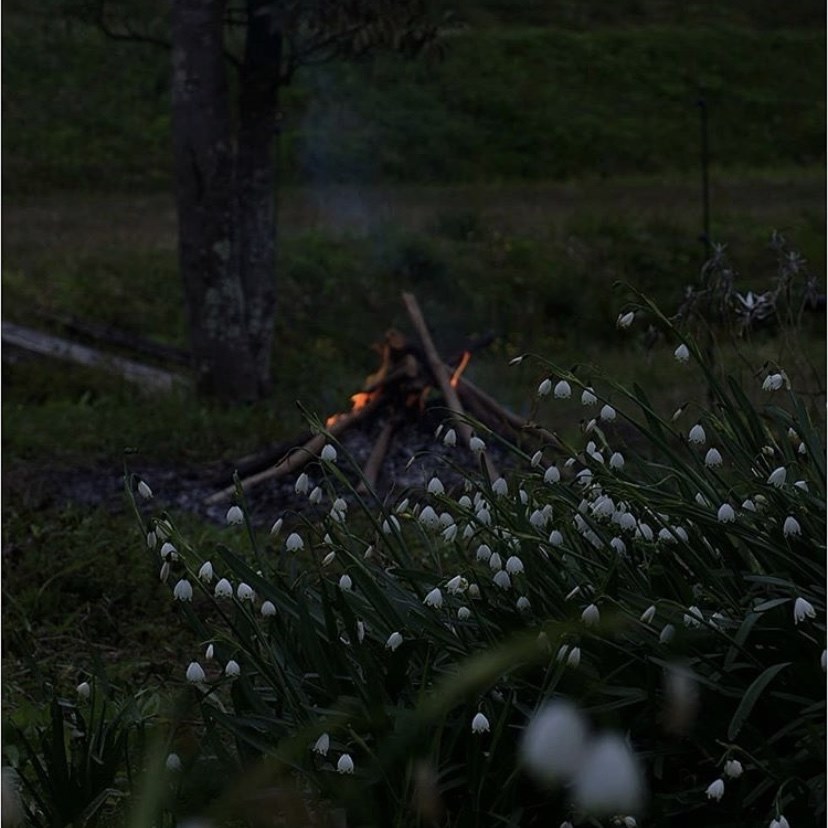 おすすめレンズ』 ニコン D7100 ボディ のクチコミ掲示板 - 価格.com