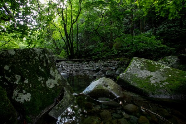 CANON EF17-35mm F2.8L USMで撮影された写真 - 価格.com