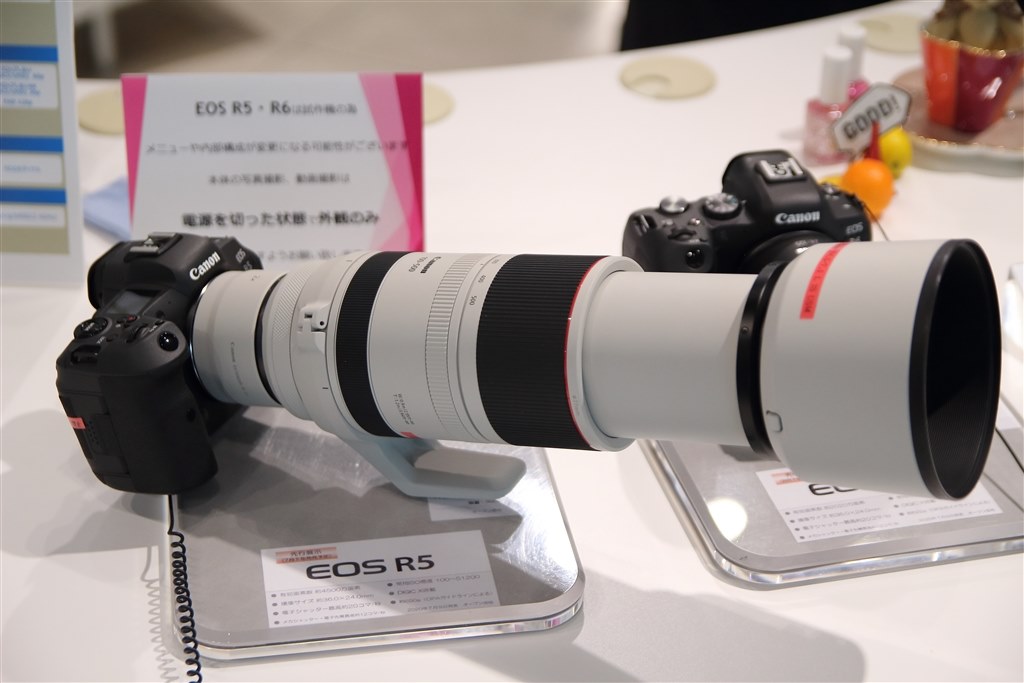 当店限定販売】 USM IS L F4.5-7.1 RF100-500mm キヤノンCANON - レンズ(ズーム)