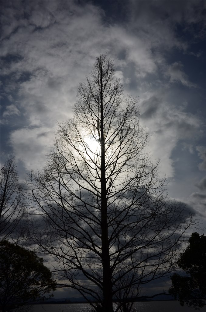 お宝おジャンク道♪ 57 憧れでした。』 ニコン COOLPIX A のクチコミ