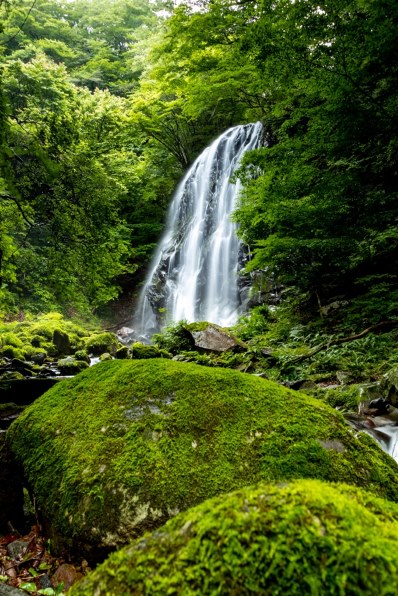 CANON EF17-35mm F2.8L USMで撮影された写真 - 価格.com CANON EF17-35mm F2.8L USMで撮影された写真 - 価格.com