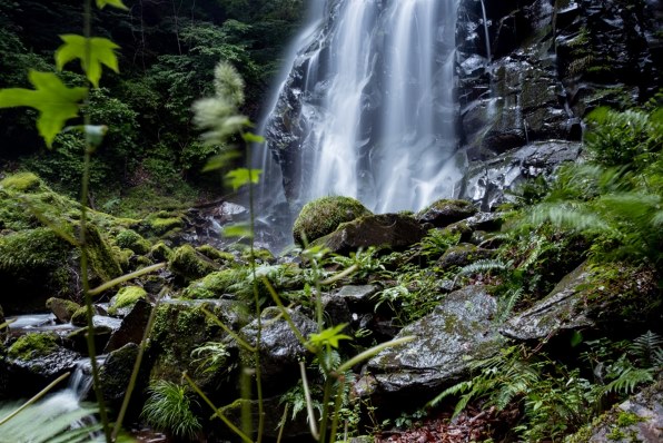 EF 17-35F2.8L USM 作例あり EF17-35mm F2.8L USMで撮影された写真 | 写真検索 | GANREF