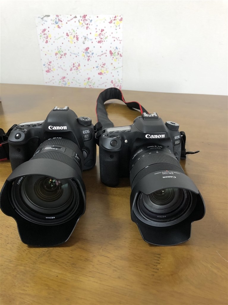 Canon EOS 6D MARK2 ボディ　24-70ズームレンズ付き