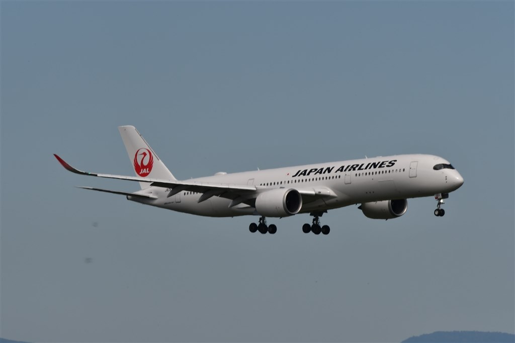 いいえ、彼は首を横に振る【訳あり品】NIKKOR 200-500mm いいえ、彼は