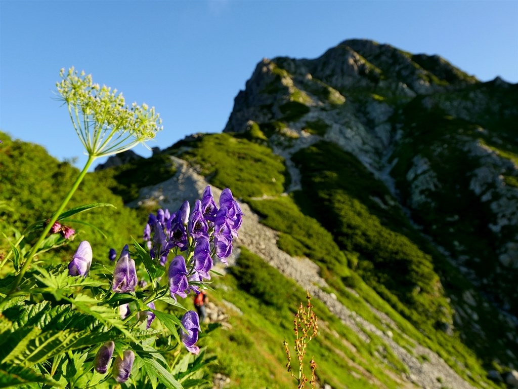 登山記録に最適なレンズですね。』 パナソニック LEICA DG VARIO