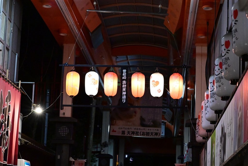 手持ちで暗所撮影してきました。』 ニコン Z 5 ボディ のクチコミ