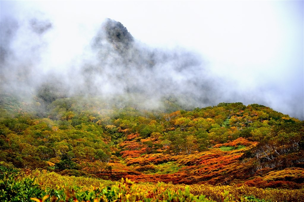黒岳登山で使用』 ニコン NIKKOR Z DX 50-250mm f/4.5-6.3 VR の