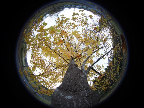 Anhui ChangGeng Optical Technology LAOWA 4mm F2.8 Fisheye Anhui ChangGeng Optical Technology LAOWA 4mm F2.8 Fisheye