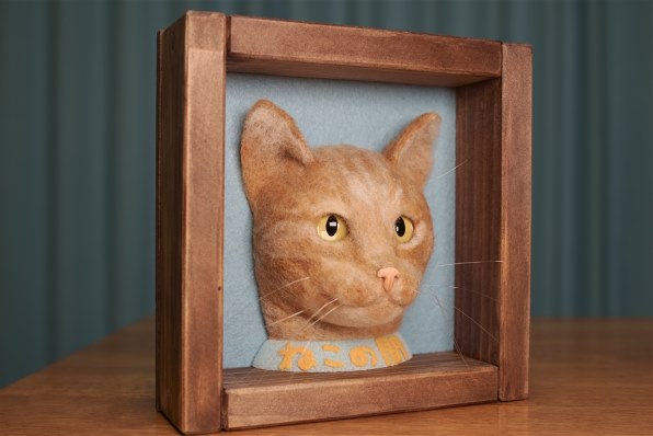 Sony A5100 Ilce 5100y ダブルズームレンズキット投稿画像 動画 価格 Com