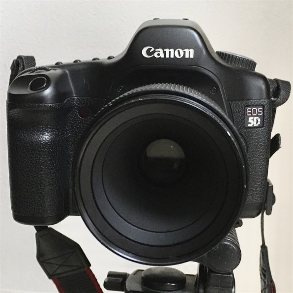 ニコン AI AF Micro-Nikkor 200mm f/4D IF-ED投稿画像・動画 ニコン AI AF Micro-Nikkor 200mm f/4D IF-ED投稿画像・動画