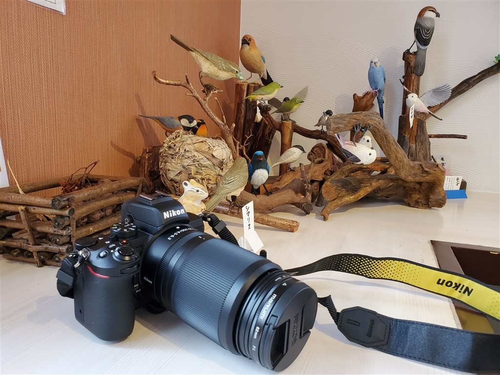 Hirakata様専用 Nikon Z50 ダブルズームキット Www Calista Auto Fr