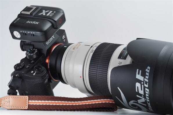 CANON EF70-200mm F2.8L IS III USM投稿画像・動画 - 価格.com