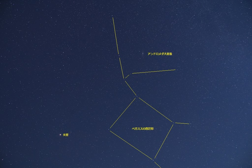 初めての広角レンズを検討しています』 TOKINA atx-i 11-16mm F2.8 CF