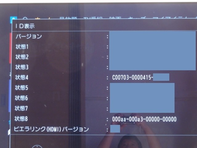 画面に横縞が入った。』 パナソニック VIERA TH-55GZ2000 [55インチ