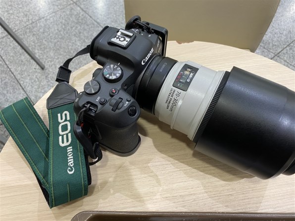 CANON EF70-300mm F4-5.6L IS USM投稿画像・動画 - 価格.com