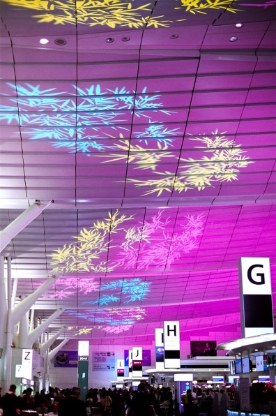 ニコン AF-S Micro NIKKOR 60mm f/2.8G EDで撮影された写真 - 価格.com