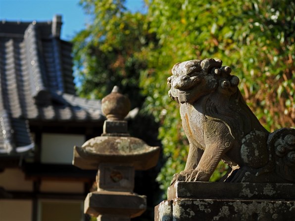 シグマ 60mm F2.8 DN ブラック [マイクロフォーサーズ用]で撮影された