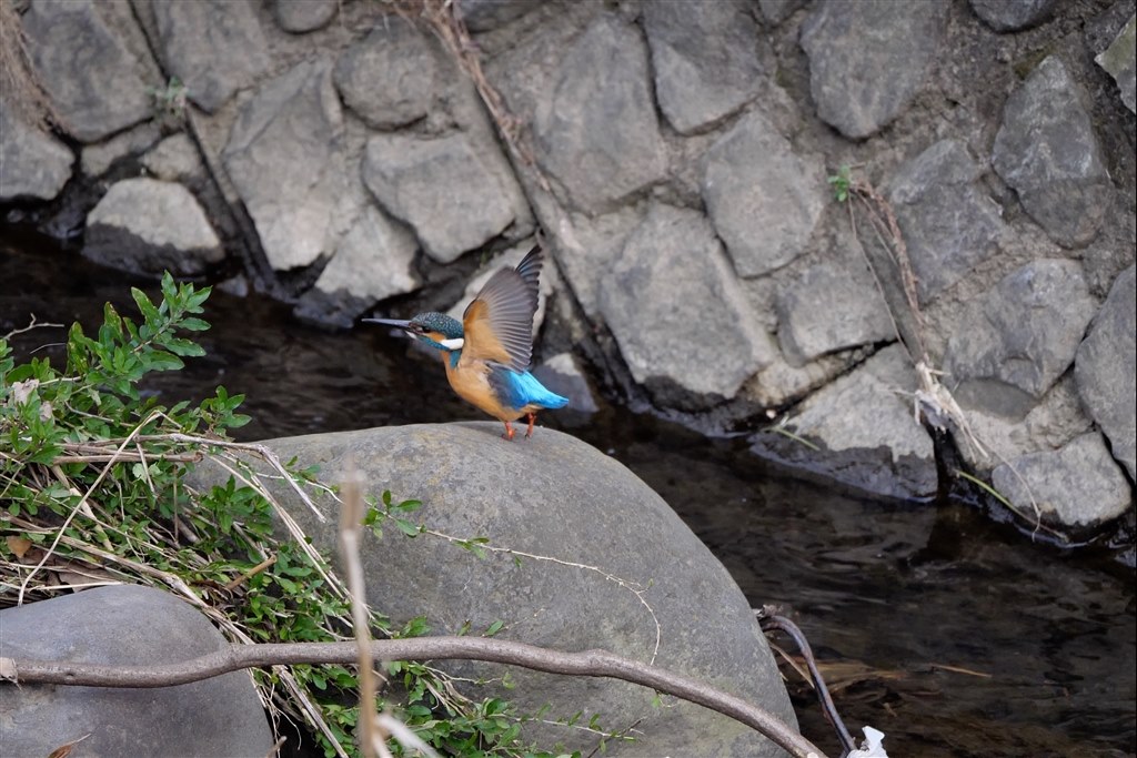 レンズ(ズーム) LUMIX G 45-150mm/F4.0-5.6 保護フィルターは使っていますか？』 パナソニック LEICA DG