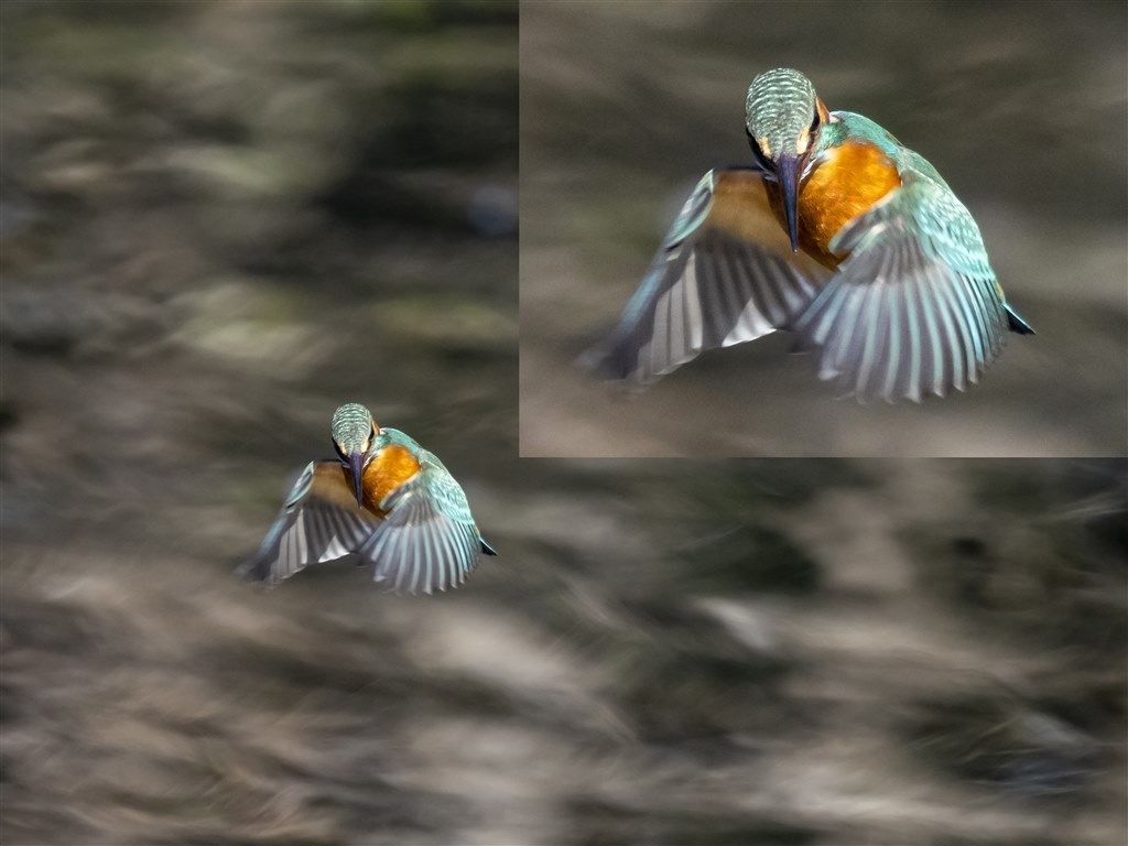 【2024年最新】大人気ブランドの人気アイテム  カワセミ（トビモノ）～150-400mm F4.5 編 PRO IS TC1.25x その他