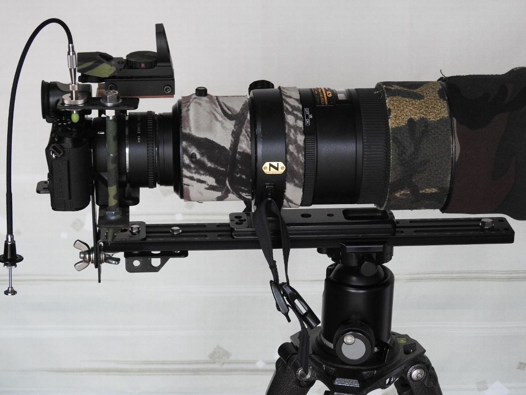 BOEG71FLに「J5」をセット 02・19』 ニコン Nikon 1 J5 BOEG71FLに「J5」をセット 02・19』 ニコン Nikon 1 J5