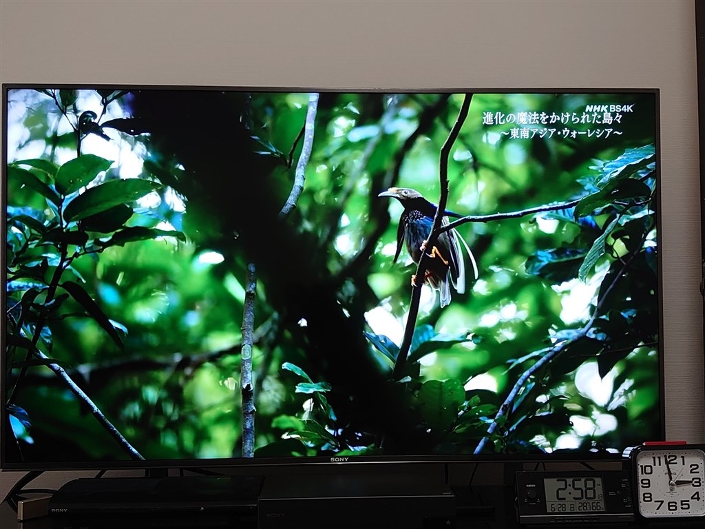 中古美品 SONY BRAVIA X9000F KJ-49X9000F 有機ELテレビXEL-1か 4K液晶